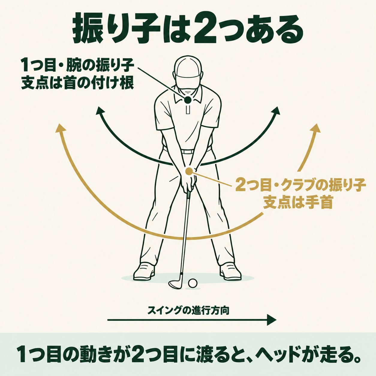 振り子は2つある。1つ目は首の付け根あたりを支点にした腕の振り子、2つ目は手首を支点にしたクラブの振り子