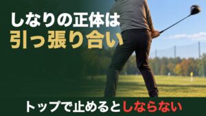 しなりの正体は引っ張り合い。トップで止めるとしならない。練習場でダウンスイングの手元が先に下り、ヘッドが遅れてついてくる後ろ姿