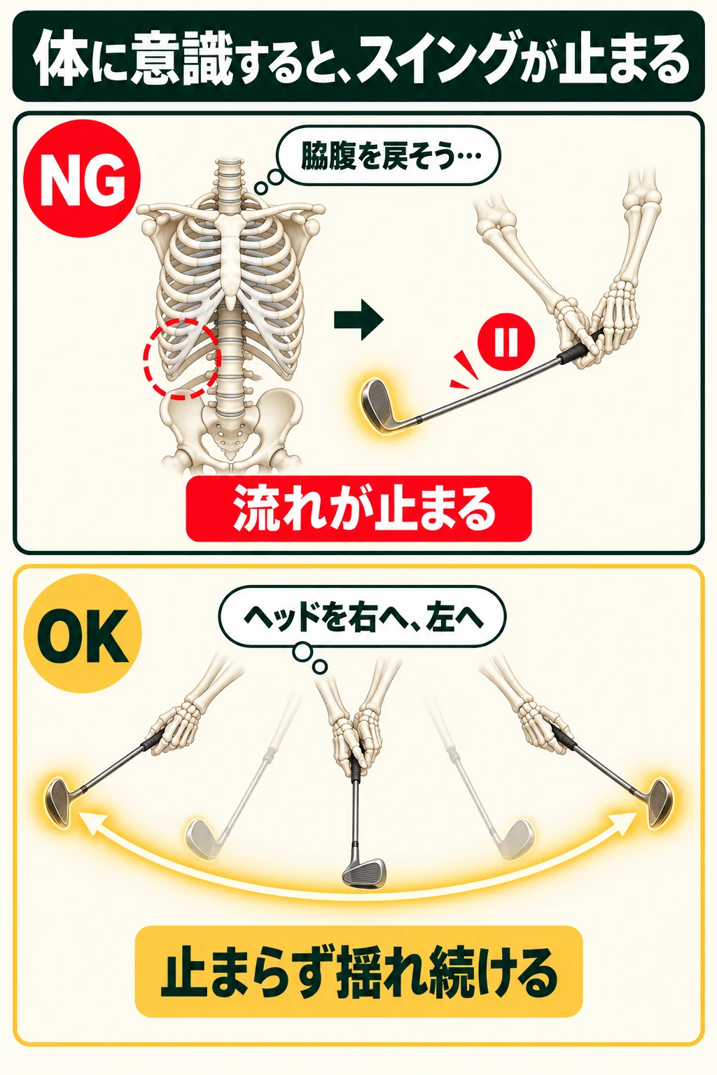 胸郭の骨格の脇腹に意識がいくとクラブが途中で止まり、手の骨が握ったクラブのヘッドを右へ左へ意識すると止まらず揺れ続けることを示す図