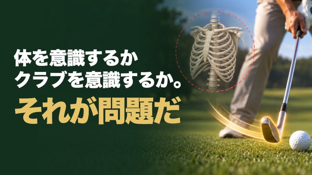 体を意識するか、クラブを意識するか。それが問題だ。胸郭の骨格とゴールドに光るクラブヘッド